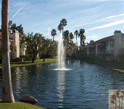 43376 Cook Street, Palm Desert, CA 92211