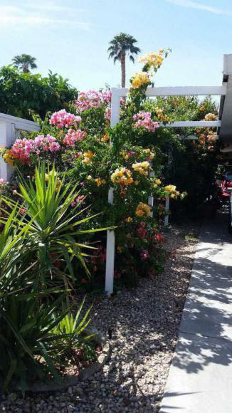 Date Palm Country Club457 Cerritos WayCathedral City, CA 92234