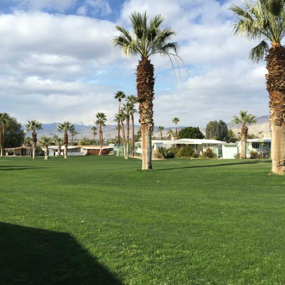 Hidden Springs Country Club15500 Bubbling Wells Road, Space 112Desert Hot Springs, CA 92240