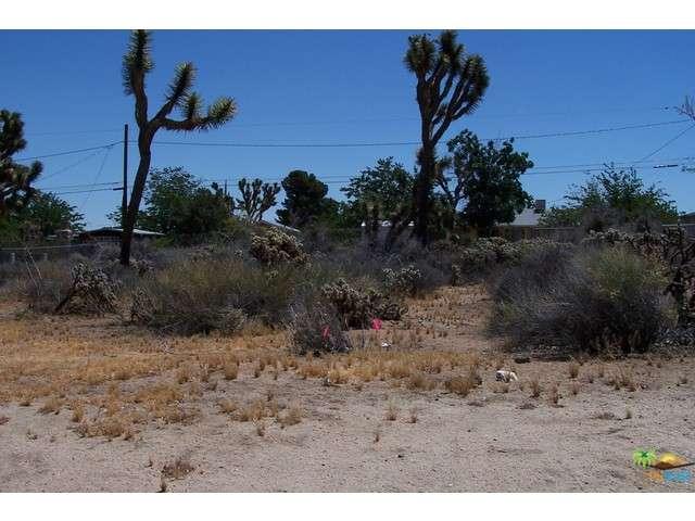 0 Twentynine Palms Highway