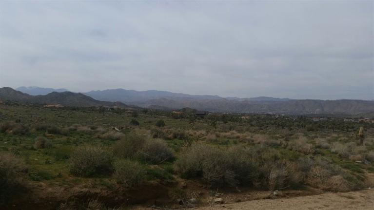 29 Twentynine Palms Highway