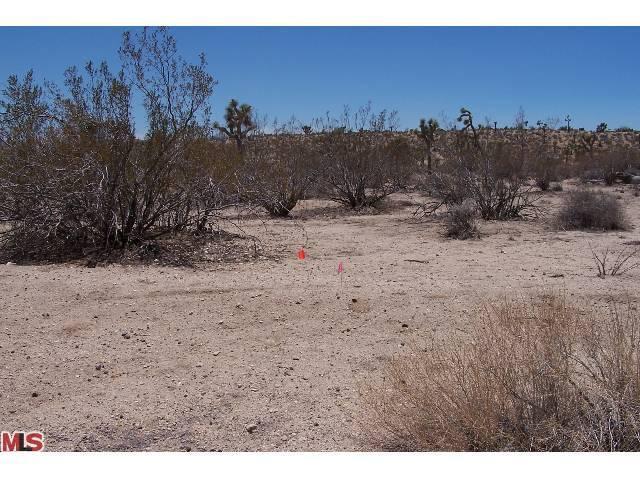 51180 Twentynine Palms Highway