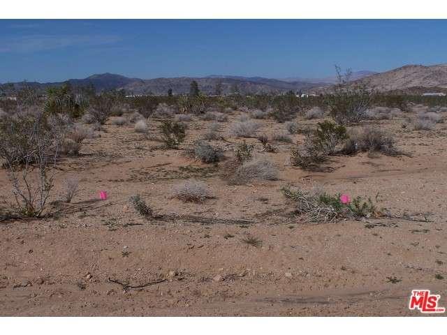 51180 Twentynine Palms Highway