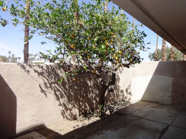 877 East Arenas RoadPalm Springs, CA, 92262Riverside County