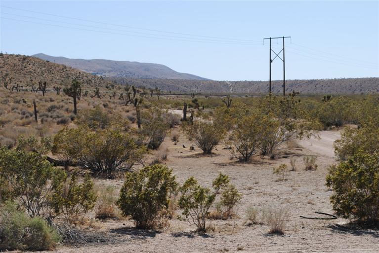 0Milpas Drive, Apple Valley, CA 92308