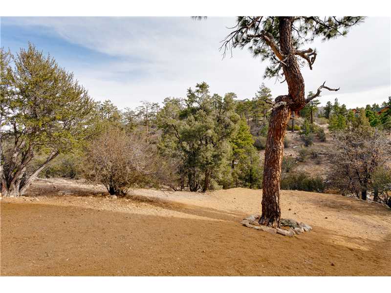 453 FALLENLEAF, Big Bear Lake, CA 92315