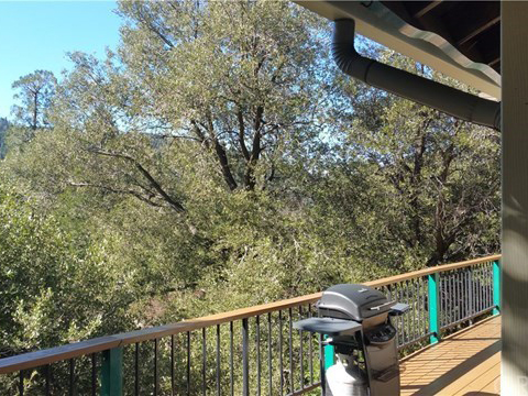 457 Wylerhorn Drive, Lake Gregory, CA 92325