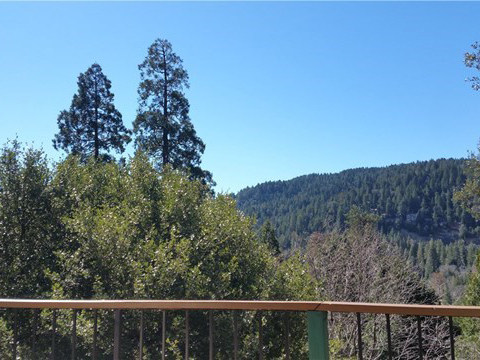 457 Wylerhorn Drive, Lake Gregory, CA 92325