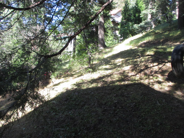 797 Berne DrCrestline, CA, 92325San Bernardino County