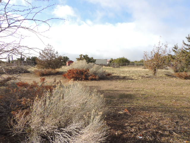 8834 Bellflower StreetOak Hills, CA, 92344San Bernardino County