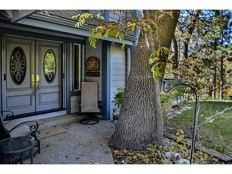 27973 St Bernard Ln, Lake Arrowhead, United States 92352