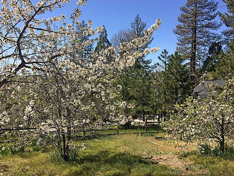 27987 ST BERNARD LN, Lake Arrowhead, CA 92352
