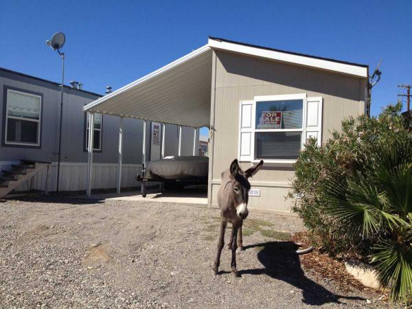 87 Havasu Palms #67