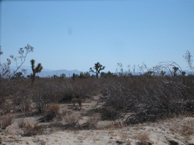 0Bear Valley / Duncan Road, Victorville, CA 92371