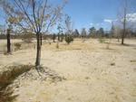 12332 PARAMOUNT RD ,CA, Phelan, 92371