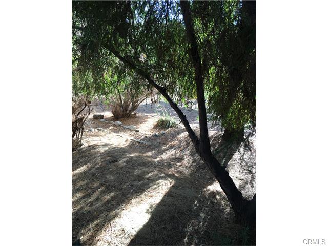 623 Fountain Ave., Redlands, United States 92373