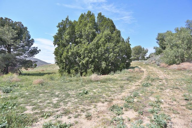 1000 W Sunset Dr