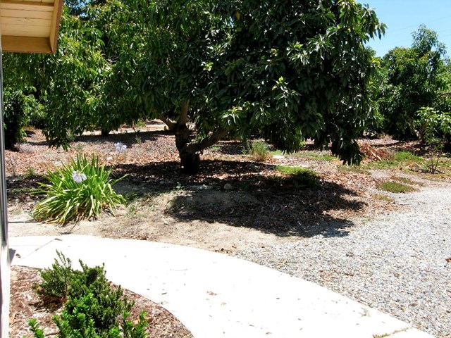 1485 E San Bernardino Ave