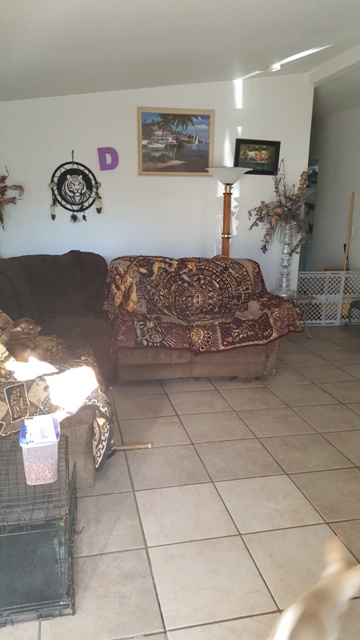 Timber Canyon 135 N Pepper aveRialto, CA 92376
