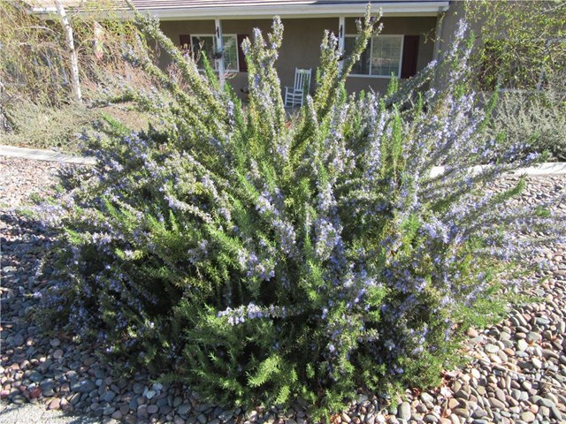 13792 Meadow View Lane, Yucaipa, CA 92399