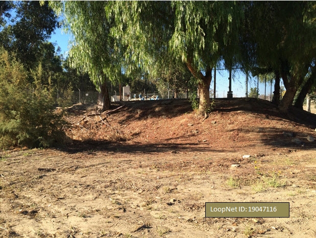 Lake Elsinore, United States 92530
