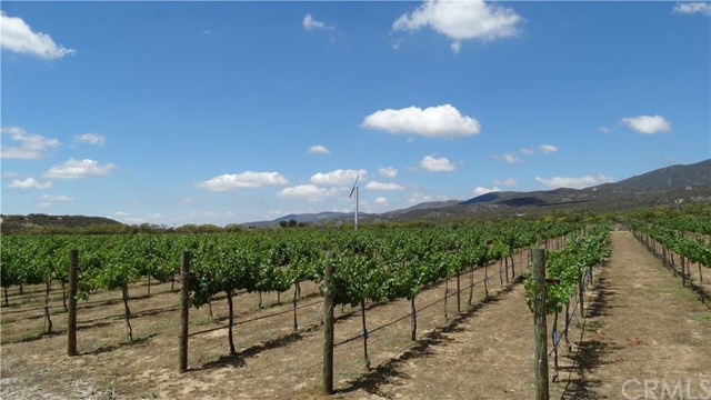 54320 Bautista Road, Anza, United States 92539