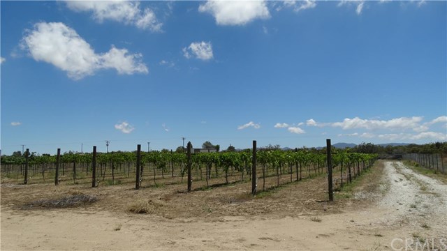 54320 Bautista Road, Anza, United States 92539