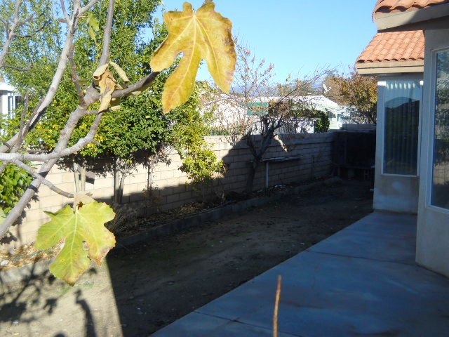 896 Bahama DriveHemet, CA, 92543Riverside County