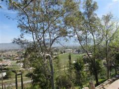 41980 Johnston, Hemet, United States 92544