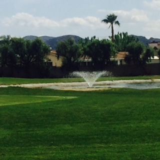 Colonial Country Club601 N Kirby #408Hemet, CA 92545