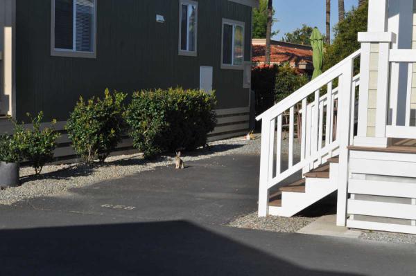 Golden Village Palms RV Resort 3600 W Florida Ave Space# 684Hemet, CA 92545