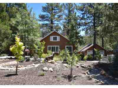 54375 Pine Crest AVE, Idyllwild, CA 92549