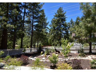 54375 Pine Crest AVE, Idyllwild, CA 92549