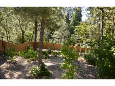 54375 Pine Crest AVE, Idyllwild, CA 92549