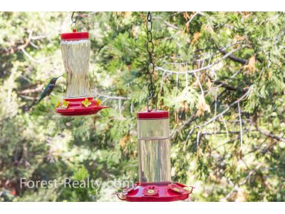 26570 Lake Lane, Idyllwild, CA 92549