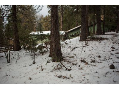 23070 Pine Needles Ln., Idyllwild, CA 92549