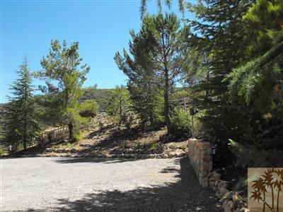59462 Hop Patch Spring Road, Mountain Center, CA 92561