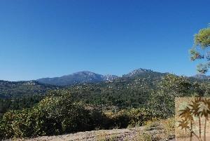 35764 Butterfly Peak Rd