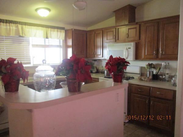 Lake Perris Manufactured Home Community 350 E. San Jacinto Sp # 55Perris, CA 92571