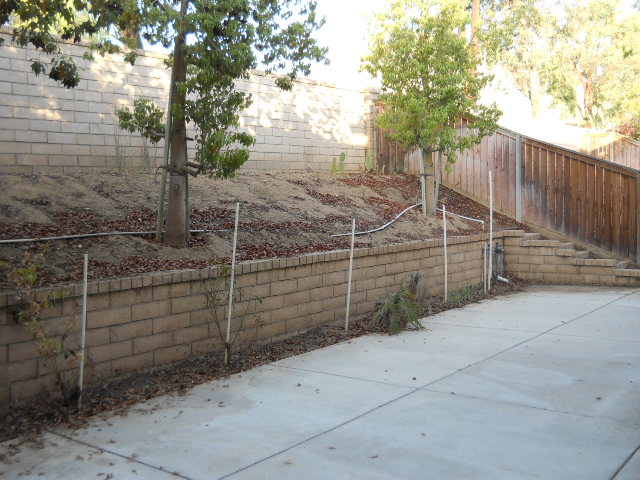 3952 Barbury Palms WayPerris, CA, 92571Riverside County