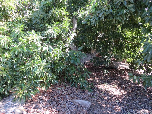 0 Las Palmeras Drive, Temecula, CA 92590