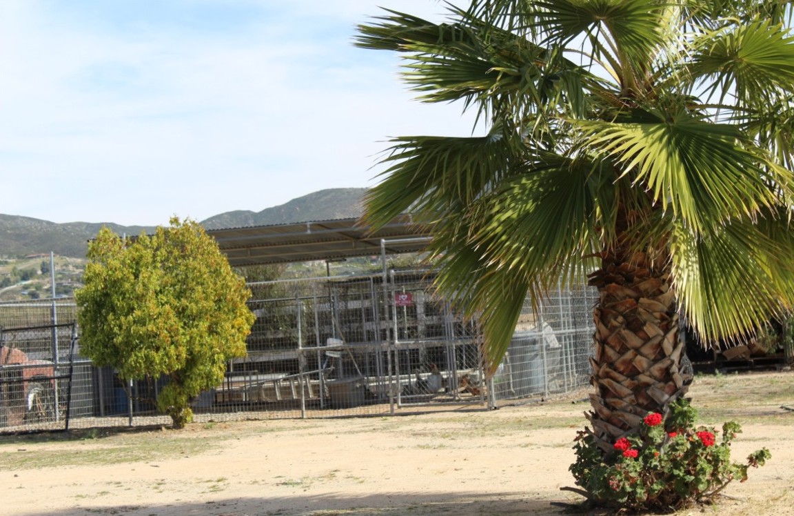 36070 Valencia way, Temecula, United States 92592