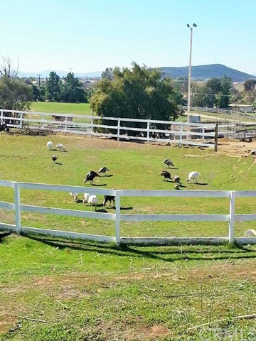 32493 Buena Ventura Road, Winchester, CA 92596
