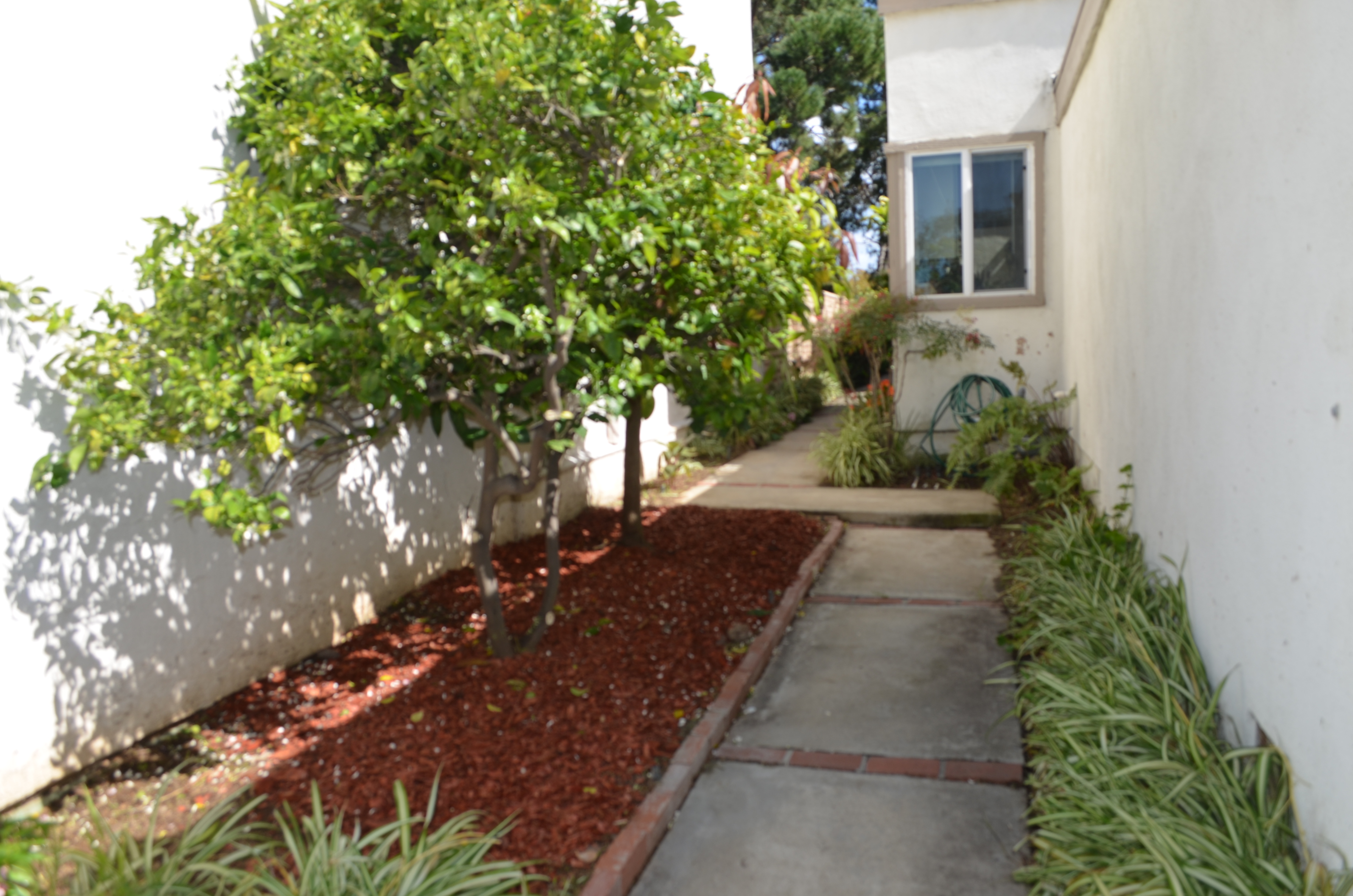 25 Willow Tree Ln, Irvine, United States 92612