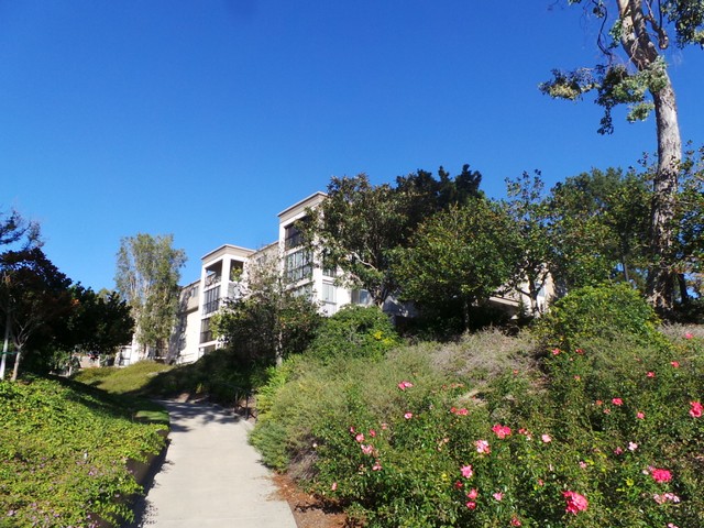 4009 Calle Sonora Unit 2cLaguna Woods, CA, 92637Orange County
