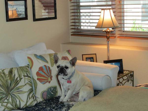 Rancho Del Rey Mobile Estates16222 Monterey Ln. #73Huntington Beach, CA 92649