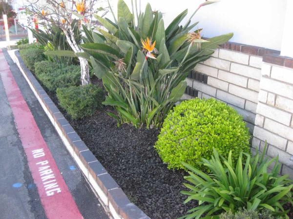 Skandia Mobile CC16444 Bolsa ChicaHuntington Beach, CA 92649