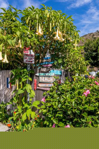 1133 Laguna Canyon Rd #13 ,CA, Laguna Beach, 92651