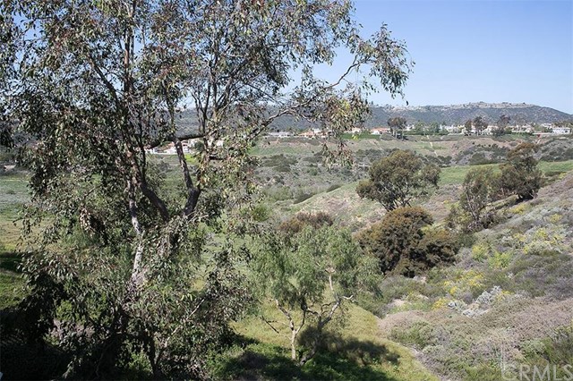 24013 Catamaran Way, Laguna Niguel, CA 92677