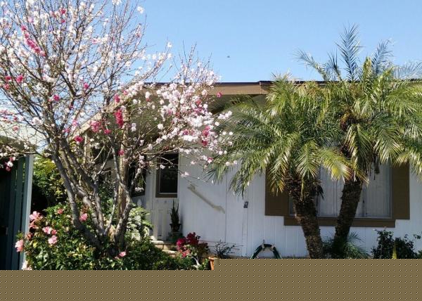 218 PALOS VERDES DR ,CA, Santa Ana, 92704
